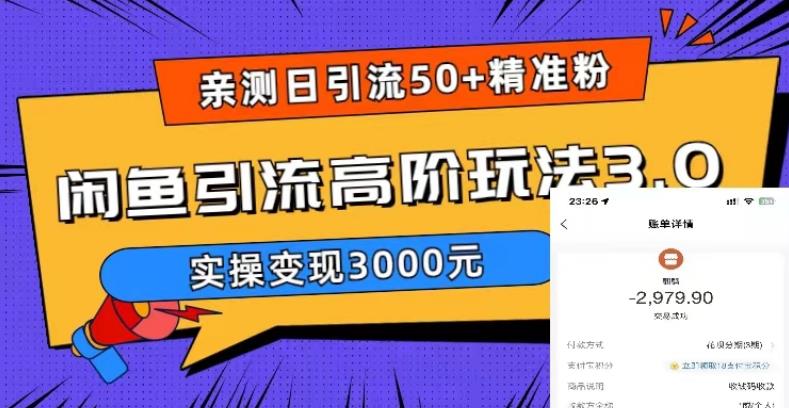 （5739期）实测日引50+精准粉，闲鱼引流高阶玩法3.0，实操变现3000元-<a href=
