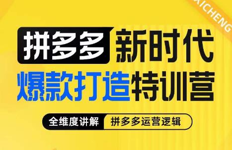玺承·拼多多新时代爆款打造特训营，全维度讲解拼多多运营逻辑-<a href=
