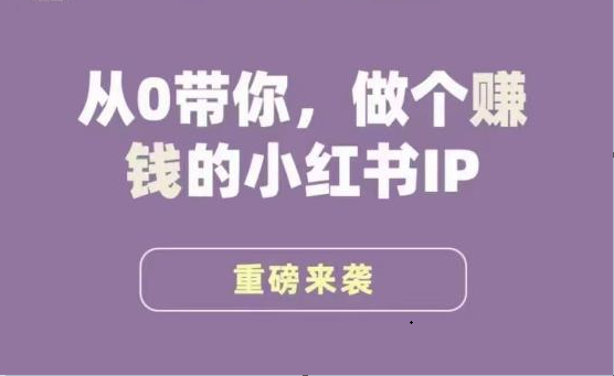 小红书运营大宝典，从0带你做个赚钱的小红书IP-<a href=
