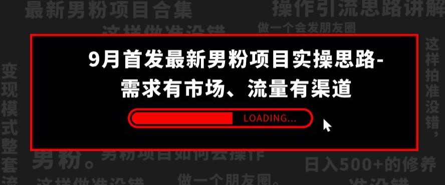 9月首发最新男粉项目实操思路-需求有市场，流量有渠道【揭秘】-<a href=