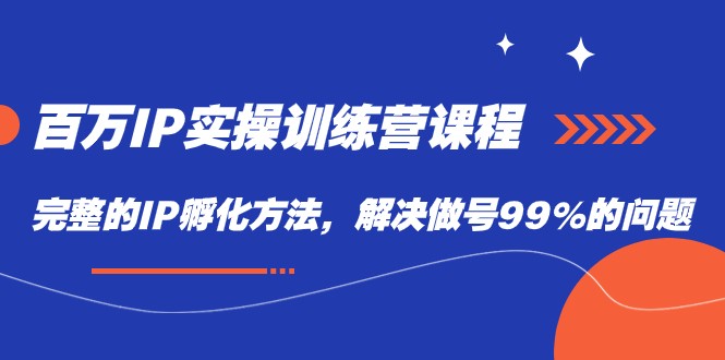 百万IP实战训练营课程，完整的IP孵化方法，解决做号99%的问题-<a href=
