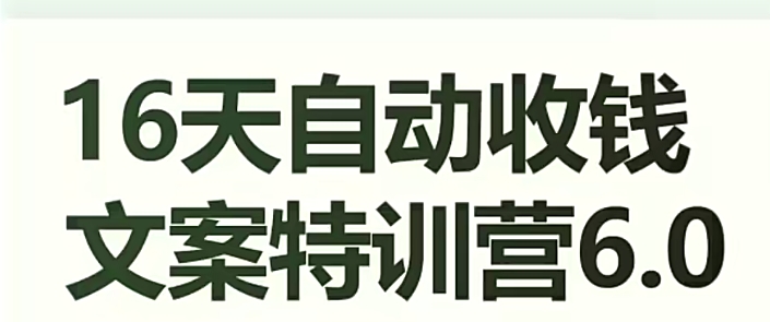 16天自动收钱文案特训营6.0，学会儿每天自动咔咔收钱-<a href=
