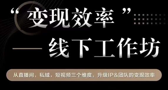 变现效率线下工作坊，从‮播直‬间、私域、‮视短‬频‮个三‬维度，升级IP和团队变现效率-<a href=