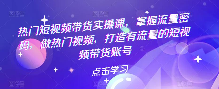 （5773期）热门短视频带货实战 掌握流量密码 做热门视频 打造有流量的短视频带货账号-<a href=
