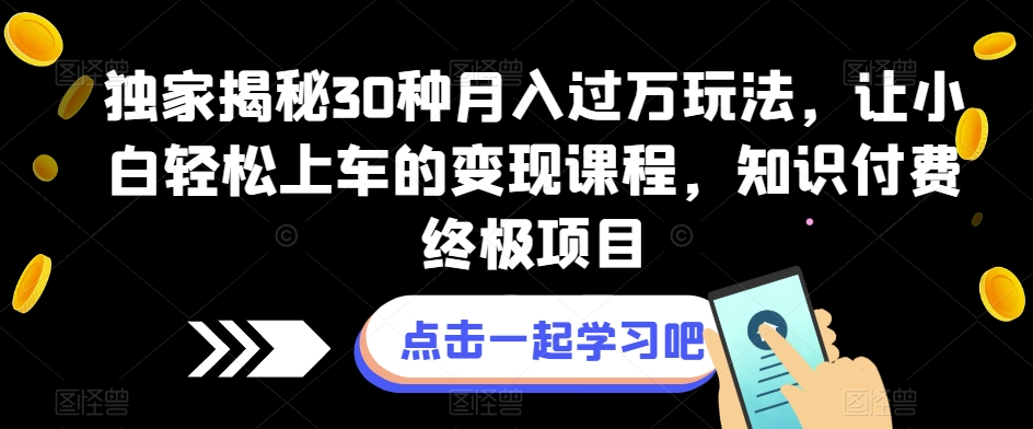 独家揭秘30种月入过万玩法，让小白轻松上车的变现课程，知识付费终极项目【揭秘】-<a href=