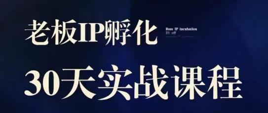 诸葛·2023老板IP实战课，实体同城引流获客，IP孵化必听-<a href=