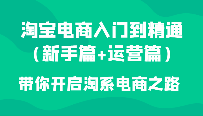 淘宝电商入门到精通（新手篇+运营篇）带你开启淘系电商之路-<a href=