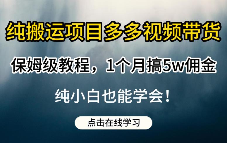 纯搬运项目多多视频带货保姆级教程，1个月搞5w佣金，纯小白也能学会【揭秘】-<a href=