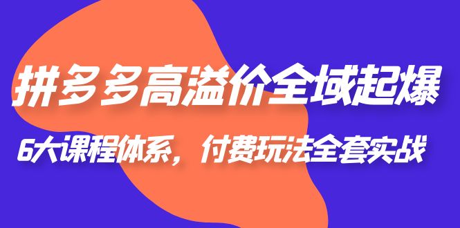（6297期）拼多多-高溢价 全域 起爆，6大课程体系，付费玩法全套实战！-<a href=