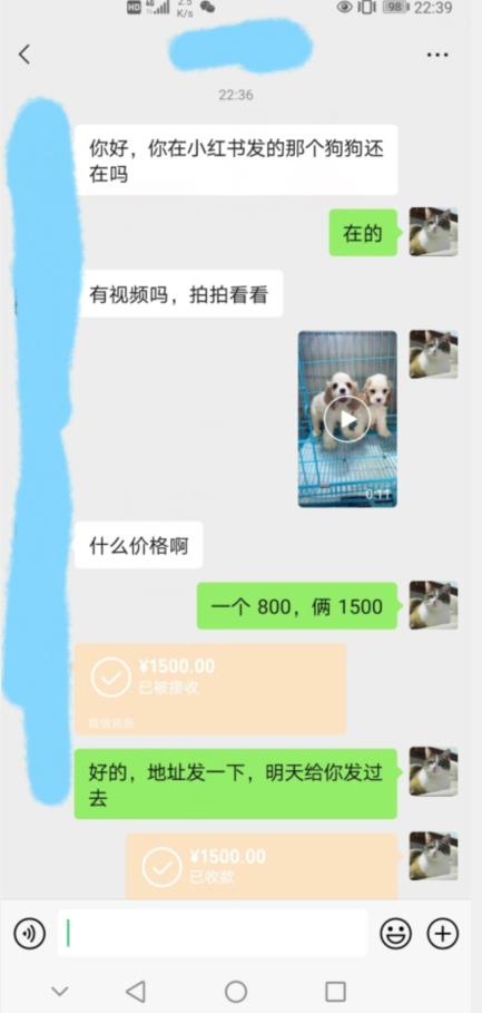 外边收费3980的同城萌宠项目，用最冷门的玩法冲击最热门的市场【揭秘】-<a href=
