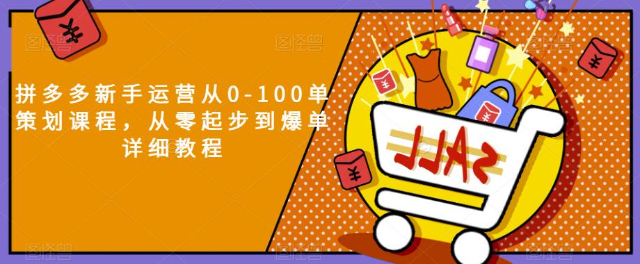 拼多多新手运营从0-100单策划课程，从零起步到爆单详细教程-<a href=