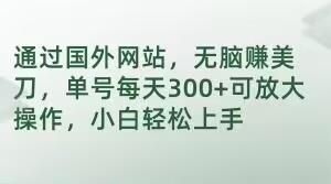 通过国外网站，无脑赚美刀，单号每天300+可放大操作，小白轻松上手【揭秘】-<a href=