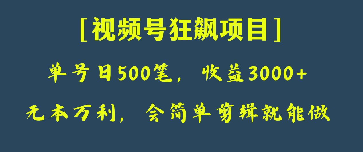 日收款500笔，纯利润3000+，视频号狂飙项目！-<a href=