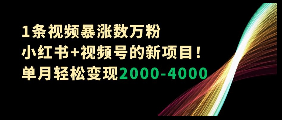 1条视频暴涨数万粉–小红书+视频号的新项目！单月轻松变现2000-4000【揭秘】-<a href=