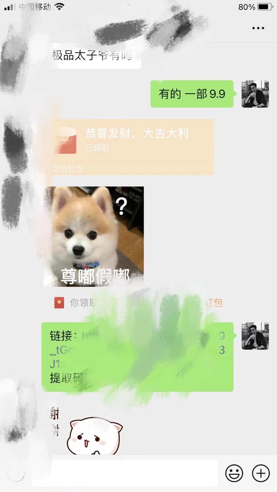靠短剧私域掘金 月入5W 小白闭眼做（教程+2T资料）-<a href=