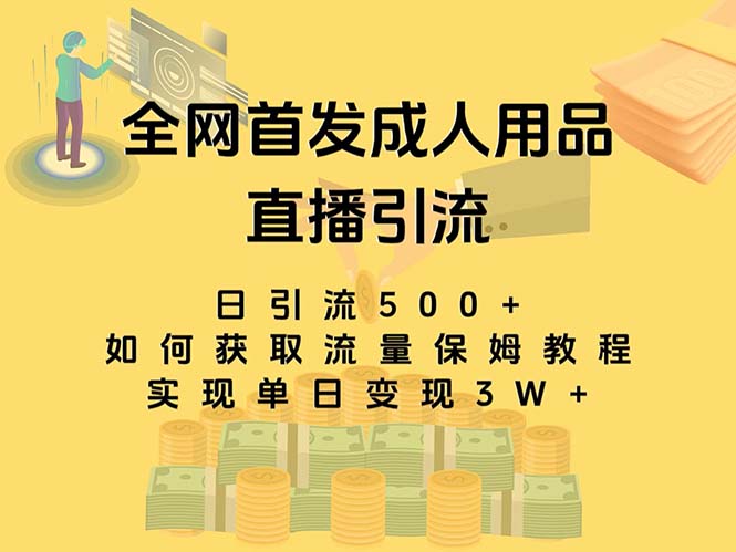 （8193期）最新全网独创首发，成人用品直播引流获客暴力玩法，单日变现3w保姆级教程-<a href=