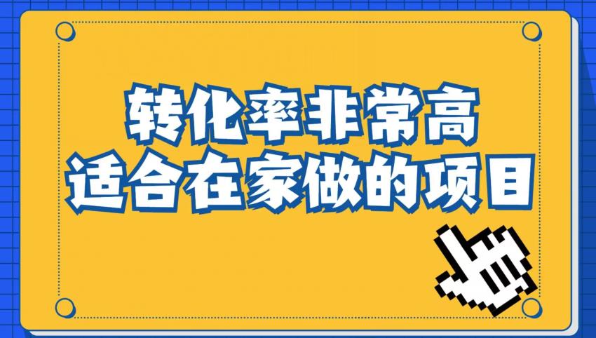 小红书虚拟电商项目：从小白到精英（视频课程+交付手册）-<a href=