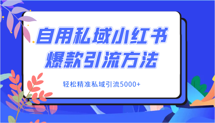 自用私域小红书爆款引流方法，轻松精准私域引流5000+-<a href=