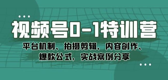 视频号0-1特训营：平台机制、拍摄剪辑、内容创作、爆款公式，实战案例分享-<a href=