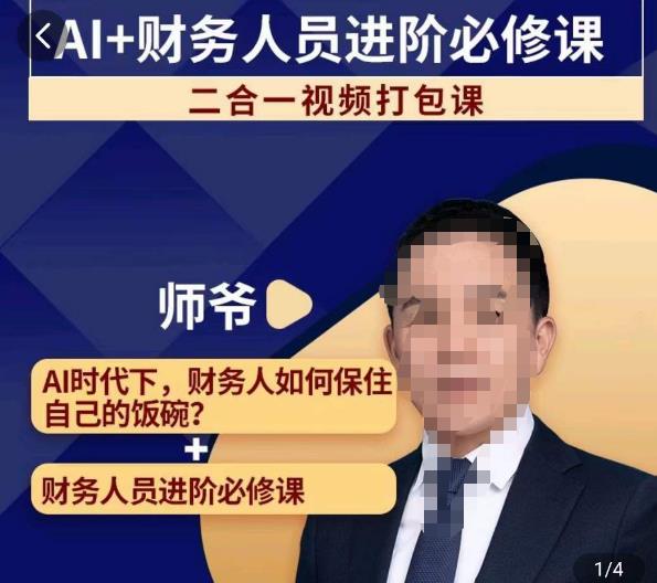 AI+财务人员进阶必修课二合一视频打包课，财务人员进阶必修课-<a href=