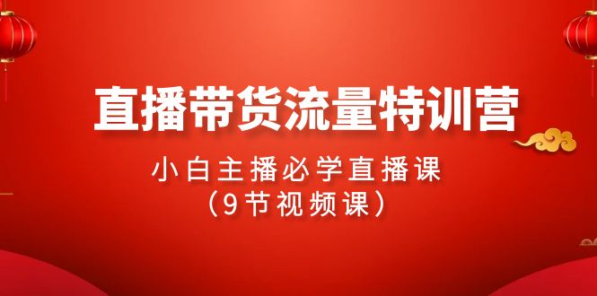 （9592期）2024直播带货流量特训营，小白主播必学直播课（9节视频课）-<a href=