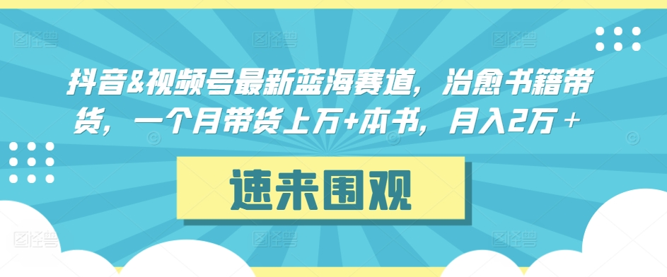 抖音&视频号最新蓝海赛道，治愈书籍带货，一个月带货上万+本书，月入2万＋-<a href=