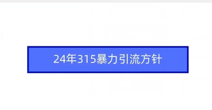 24年315暴力引流方针-<a href=