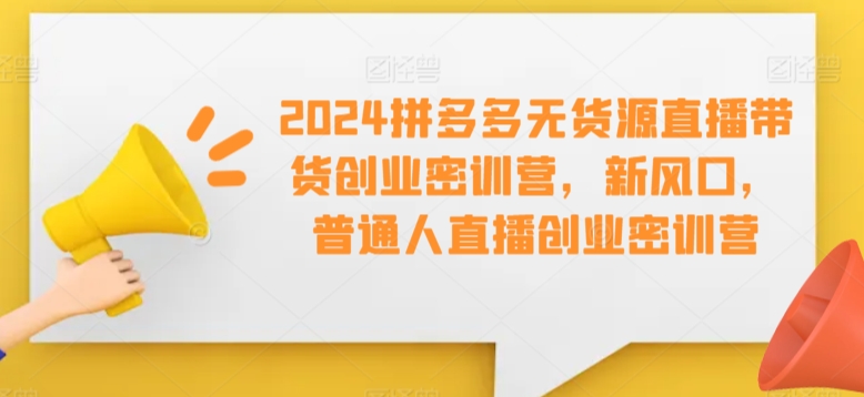 2024拼多多无货源直播带货创业密训营，新风口，普通人直播创业密训营-<a href=
