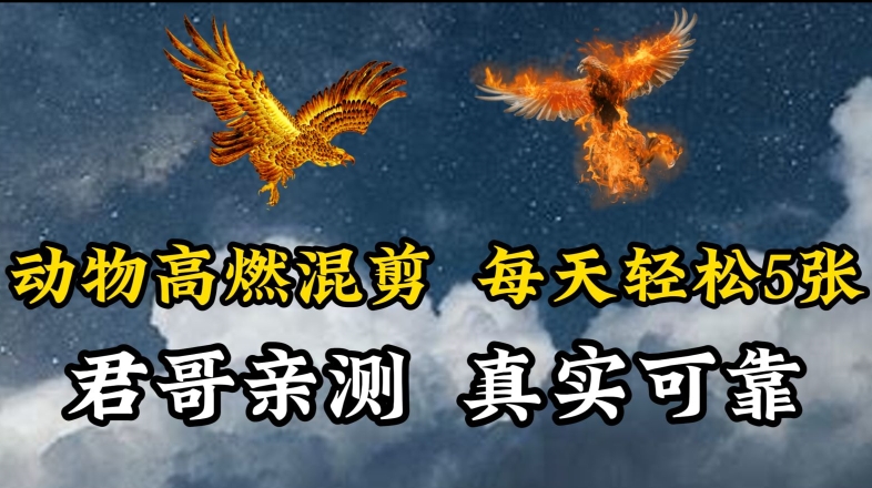 动物超燃混剪，每天轻松5张，剪辑简单大家爱看-<a href=