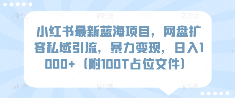 小红书最新蓝海项目，网盘扩容私域引流，暴力变现，日入1000+（附100T占位文件）-<a href=