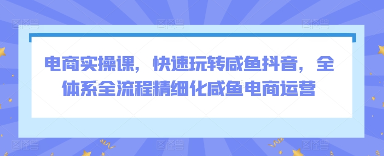 电商实操课，快速玩转咸鱼抖音，全体系全流程精细化咸鱼电商运营-<a href=