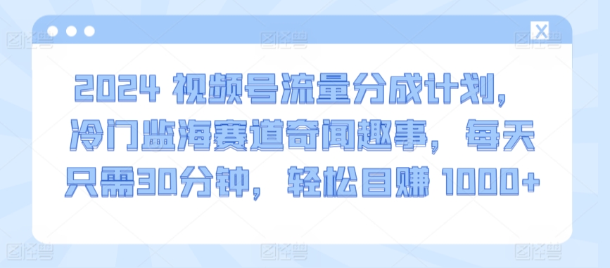 2024视频号流量分成计划，冷门监海赛道奇闻趣事，每天只需30分钟，轻松目赚 1000+-<a href=