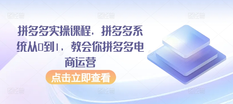 拼多多实操课程，拼多多系统从0到1，教会你拼多多电商运营-<a href=