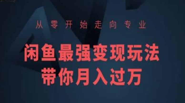 从零开始走向专业，闲鱼最强变现玩法带你月入过万-<a href=