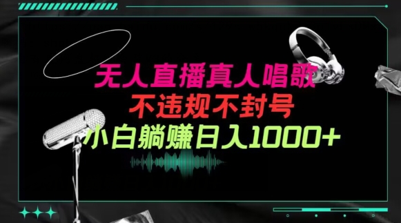 抖音24小时无人直播音乐，不违规，不封号纯撸音浪，小白实操当天日入1000+-<a href=