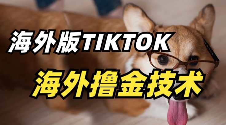 抖音海外版tiktok撸金技术，这个风口行业，赚钱真的不难-<a href=