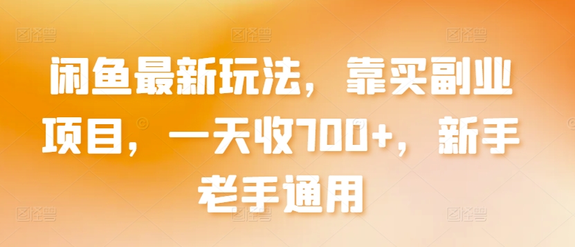 闲鱼最新玩法，靠买副业项目，一天收700+，新手老手通用-<a href=