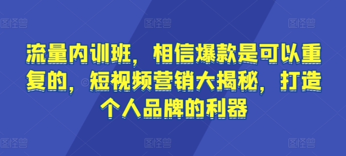 流量内训班，相信爆款是可以重复的，短视频营销大揭秘，打造个人品牌的利器-<a href=