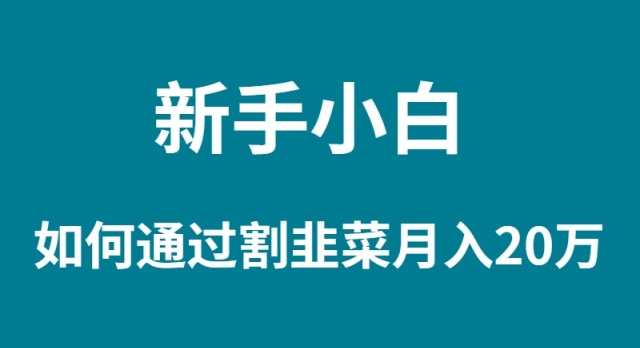（9308期）新手小白如何通过割韭菜月入 20W-<a href=