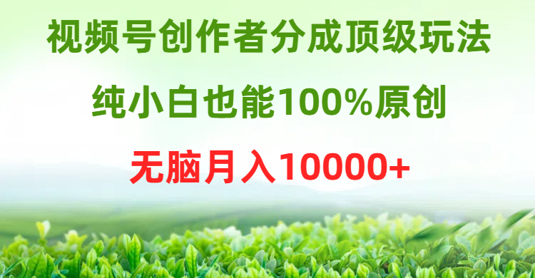 （9608期）视频号创作者分成顶级玩法，纯小白也能100%原创，无脑月入10000+-<a href=