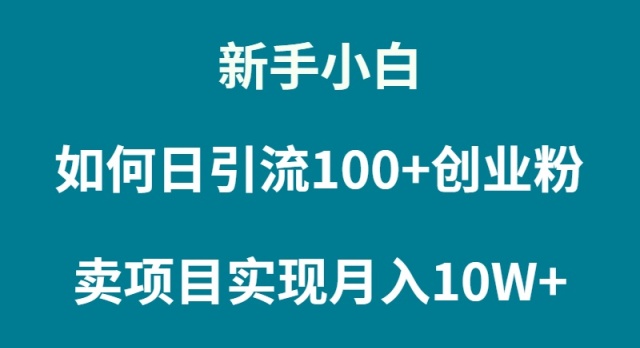 （9556期）新手小白如何通过卖项目实现月入10W+-<a href=