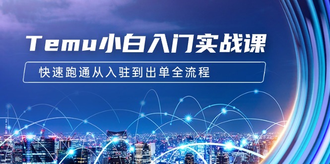 （9295期）Temu小白入门实战课：跨境拼多多电商培训 快速跑通从入驻到出单全流程-12节-<a href=