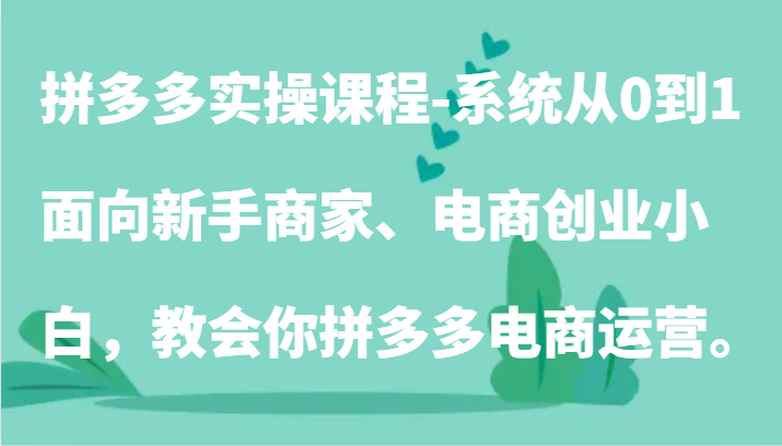 拼多多实操课程-系统从0到1，面向新手商家、电商创业小白，教会你拼多多电商运营。-<a href=