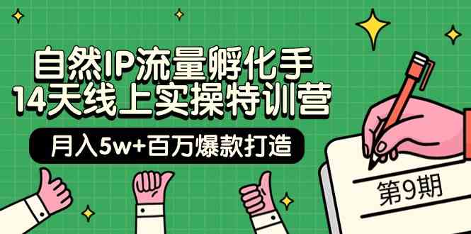 自然IP流量孵化手14天线上实操特训营【第9期】月入5w+百万爆款打造 (74节)-<a href=