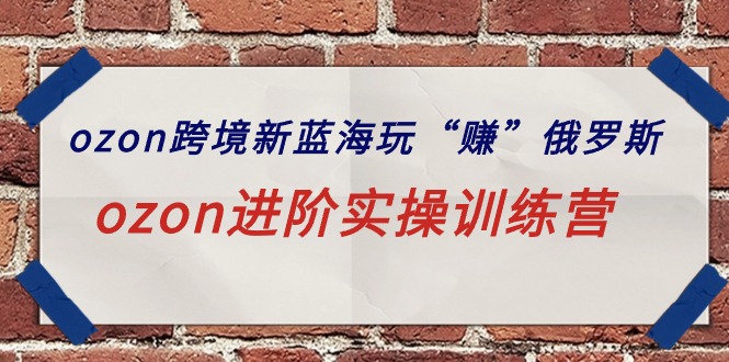 （9800期）ozon跨境新蓝海玩“赚”俄罗斯，ozon进阶实操训练营-<a href=
