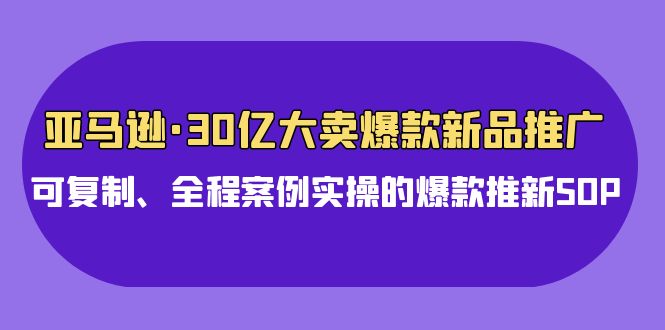 （9944期）亚马逊30亿·大卖爆款新品推广，可复制、全程案例实操的爆款推新SOP-<a href=