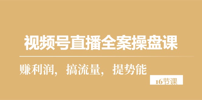 （10207期）视频号直播全案操盘课，赚利润，搞流量，提势能（16节课）-<a href=