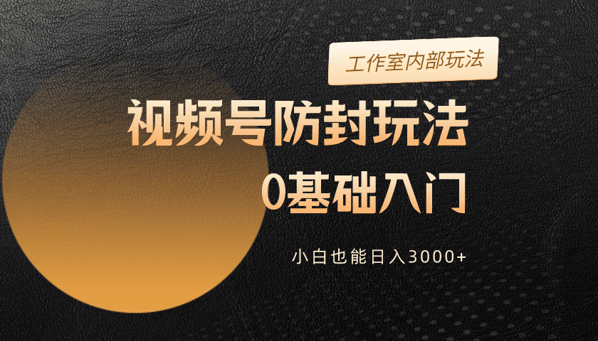 （10107期）2024视频号升级防封玩法，零基础入门，小白也能日入3000+-<a href=