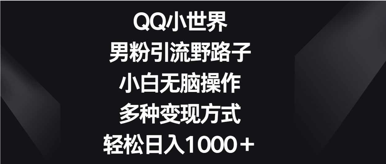 QQ小世界男粉引流野路子，小白无脑操作，多种变现方式轻松日入1000＋-<a href=