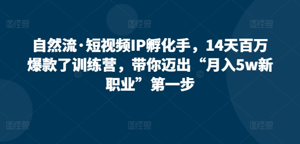 自然流·短视频IP孵化手，14天百万爆款了训练营，带你迈出“月入5w新职业”第一步-<a href=